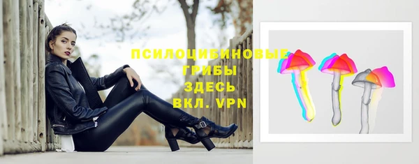 винт Алзамай