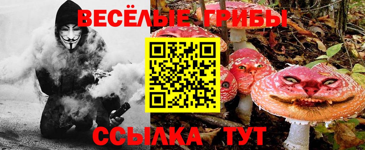 Псилоцибиновые грибы GOLDEN TEACHER Анжеро-Судженск