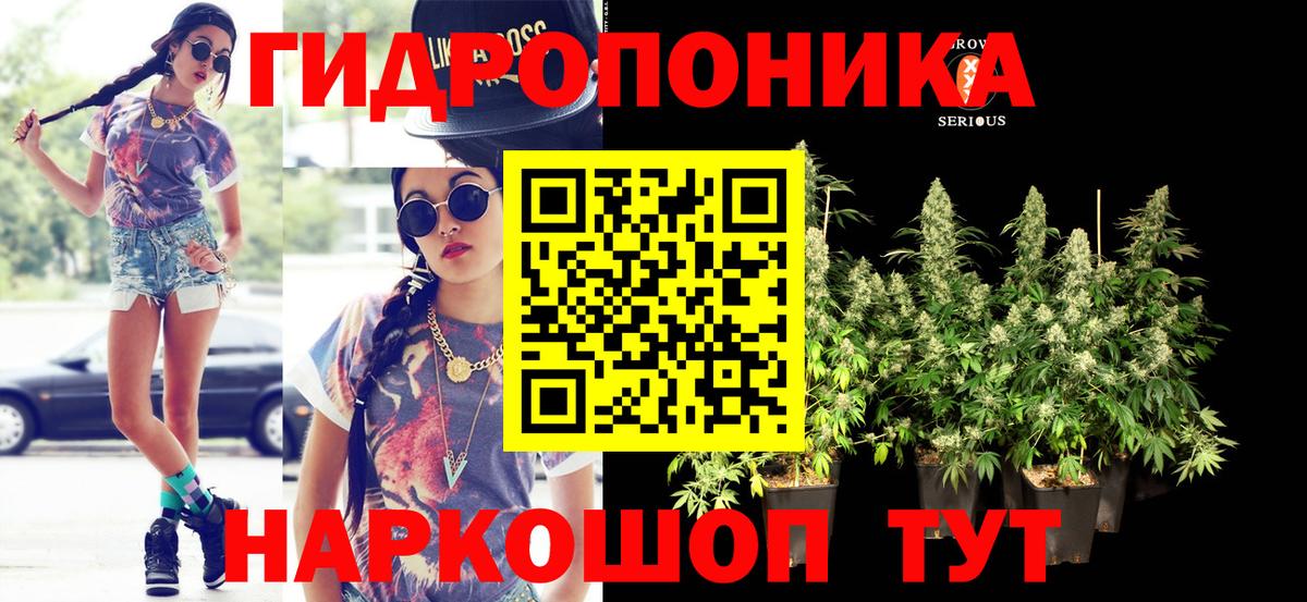 Анжеро-Судженск  Бошки Шишки AK-47  Каннабис VHQ  Бошки Шишки LSD WEED  Вход с VPN  Марихуана MAZAR 